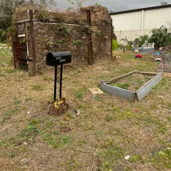 Holt Cemetery - Alexandria