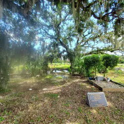 Holt Cemetery - Alexandria