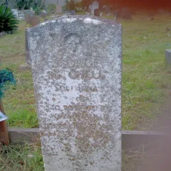 Holt Cemetery - Alexandria