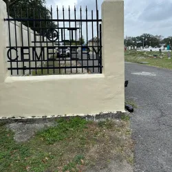 Holt Cemetery - Alexandria