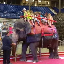 Rapides Parish Coliseum - Alexandria