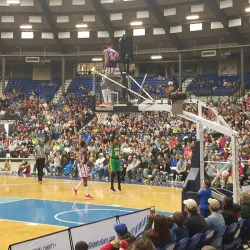 Rapides Parish Coliseum - Alexandria