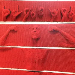 T.R.E.E. House Children's Museum - Alexandria