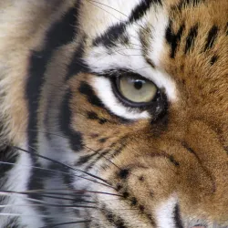 Baton Rouge Zoo - Baton Rouge