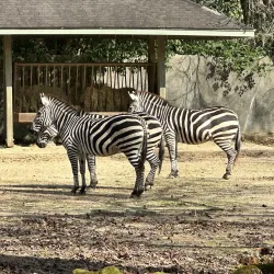Baton Rouge Zoo - Baton Rouge