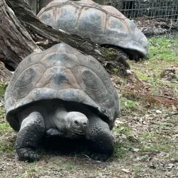 Baton Rouge Zoo - Baton Rouge