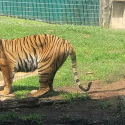 Baton Rouge Zoo - Baton Rouge