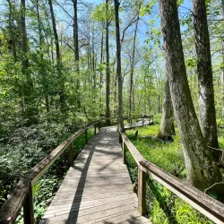 Bluebonnet Swamp Nature Center - Baton Rouge