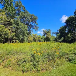 Bluebonnet Swamp Nature Center - Baton Rouge