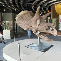 Louisiana Art & Science Museum - Baton Rouge