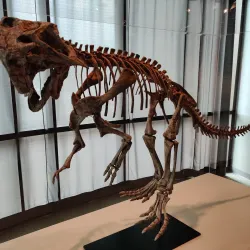 Louisiana Art & Science Museum - Baton Rouge