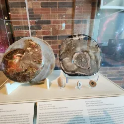 Louisiana Art & Science Museum - Baton Rouge