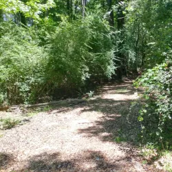 Centenary State Historic Site - Bossier City