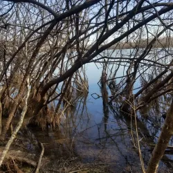Red River National Wildlife Refuge - Bossier City