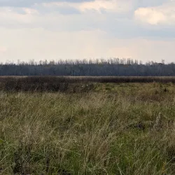 Red River National Wildlife Refuge - Bossier City