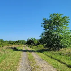 Red River National Wildlife Refuge - Bossier City