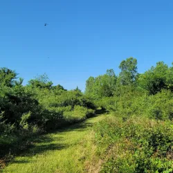 Red River National Wildlife Refuge - Bossier City