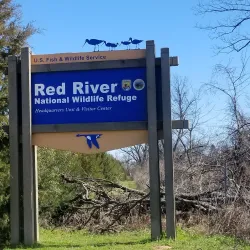 Red River National Wildlife Refuge - Bossier City