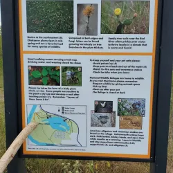 Red River National Wildlife Refuge - Bossier City