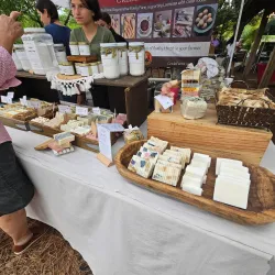 Covington Farmers Market - Covington