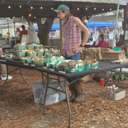 Covington Farmers Market - Covington