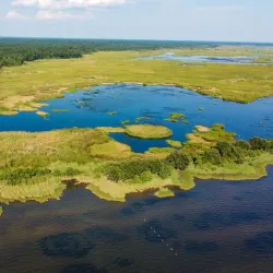 Fontainebleau State Park - Covington
