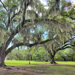 Fontainebleau State Park - Covington
