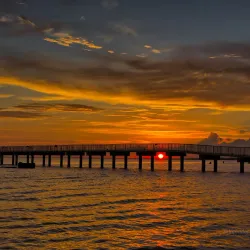 Fontainebleau State Park - Covington