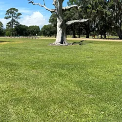 Fontainebleau State Park - Covington