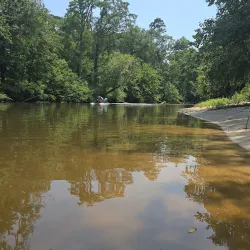 The Chimes Restaurant & Tap Room - Covington