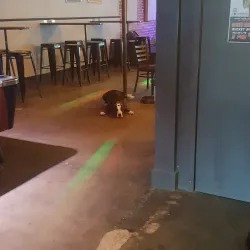 The Green Room - Covington