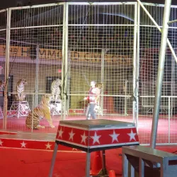 Hammond Civic Center - Hammond