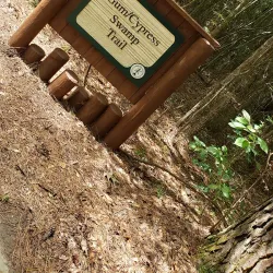 Tickfaw State Park - Hammond