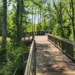 Tickfaw State Park - Hammond