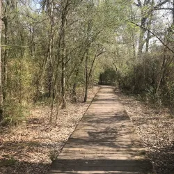 Tickfaw State Park - Hammond