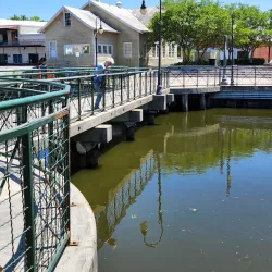 Bayou Terrebonne Waterlife Museum Nature Trail - Houma
