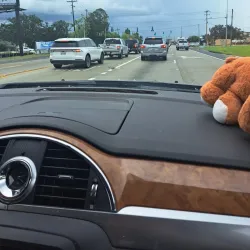 Martin Luther King Park - Houma