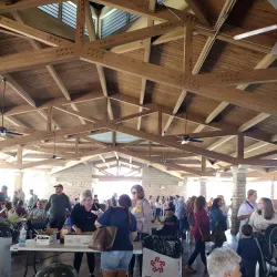 Southdown Plantation - Houma