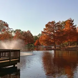 Girard Park - Lafayette