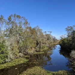 Jean Lafitte National Historical Park and Preserve - Lafayette Visitor Center - Lafayette