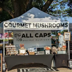 Lafayette Farmers and Artisans Market at the Horse Farm - Lafayette