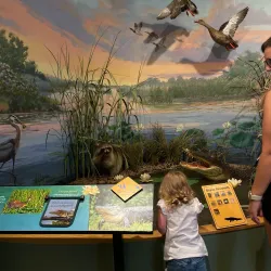 Creole Nature Trail Adventure Point - Lake Charles