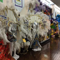 The Mardi Gras Museum of Imperial Calcasieu - Lake Charles