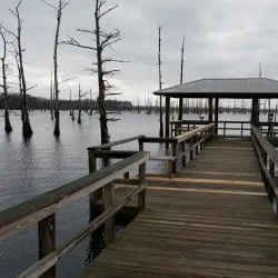 Black Bayou Lake National Wildlife Refuge - Monroe