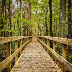 Kiroli Park - Monroe