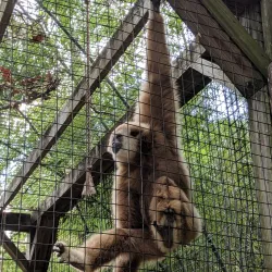 Louisiana Purchase Gardens and Zoo - Monroe