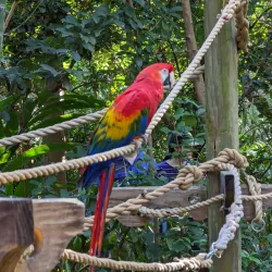 Audubon Zoo - New Orleans