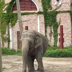 Audubon Zoo - New Orleans