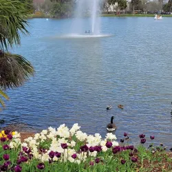 City Park - New Orleans