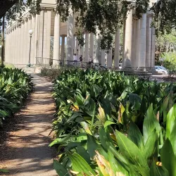 City Park - New Orleans
